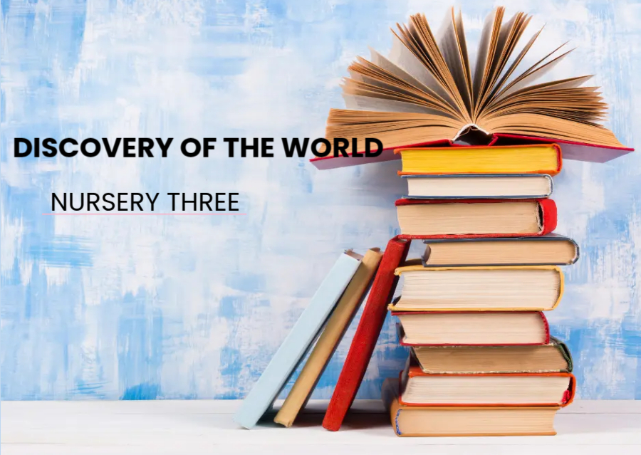 DISCOVERY OF THE WORLD N3